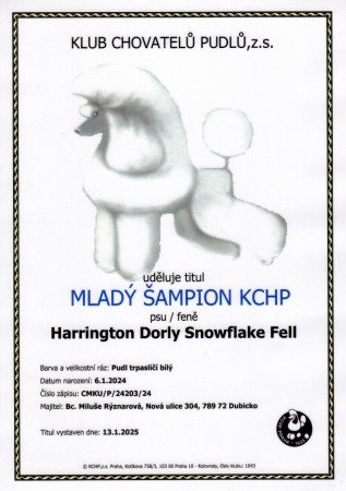 Mladý šampion KCHP